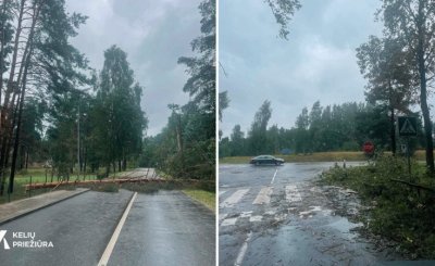 Kelininkai tęsia darbus siaučiant audrai – šalinami šimtai kritusių medžių